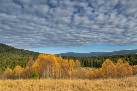 Autumn in the Sumava National Park, Bohemia, Czech Republic, Europe