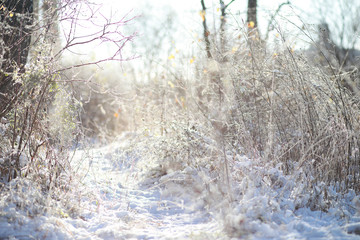 Winter Park. Landscape in snowy weather. January.