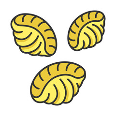 Shells pasta vector color icon