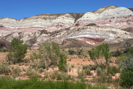 Utah Coloured Rocks East.24-Bilder: Stock-Fotos & -Videos. | Adobe Stock