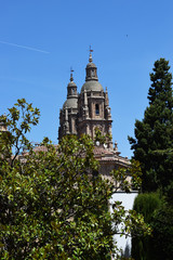 Fototapeta na wymiar Catedrales y monumentos religiosos de Salamanca, España.