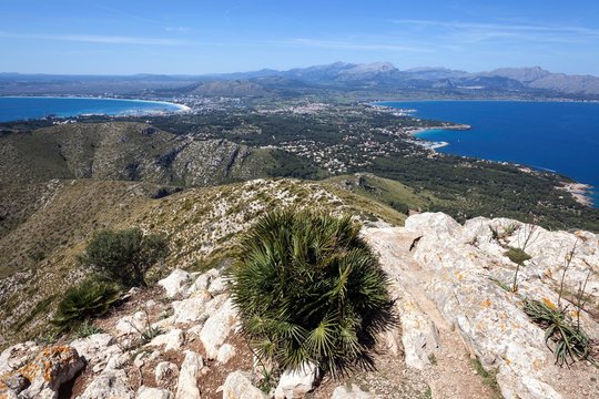 View from Talaia d'Alcudia, behind left the bay of Alcudia, Badia d'Alcudia, behind right the bay of Pollenca, Badia de Pollenca, near Bonaire, Majorca, Balearic Islands, Spain, Europe
