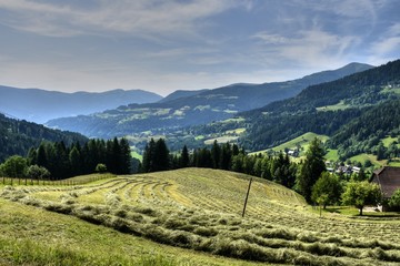 Kärnten, Ernte, Heuernte, Maht, Bergbauer, Hügel, Berge, Alpen, Landwirtschaft, Haus, Landstraße, Bergstraße, Gerlitzen, Gerlitzenstraße, Nockberge, Gurktaler Alpen, Sommer, Jahreszeit, Weg, Zaun, Wei