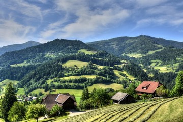 Kärnten, Ernte, Heuernte, Maht, Bergbauer, Hügel, Berge, Alpen, Landwirtschaft, Haus,...