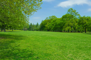 Green park