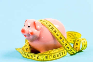 Financial situation. loan concept. Take credit. low pay. Saving money. Deposit. Economy and budget...