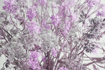 Obraz premium Floral background. pink white rustic field flowers