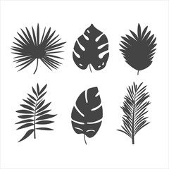 Set of 6 simple flat tropical leaves isolated on white background. Design element for brochure, poster, card, web, ad and sale