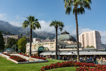 Palm trees and clear sky in a sunny summer day in Monte Carlo, Monaco.