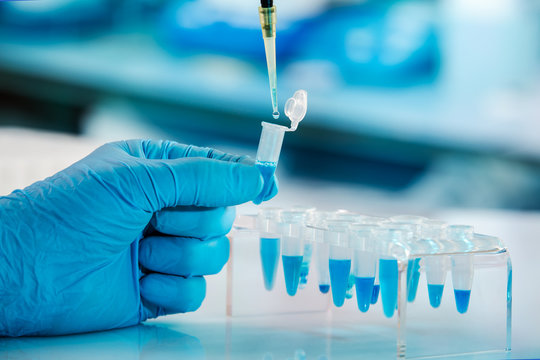 hand of Chemical engineer pipetting sample in tube pcr in the research laboratory.