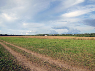 plowed field and blue sky