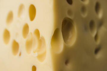 Macro shot of emmental cheese