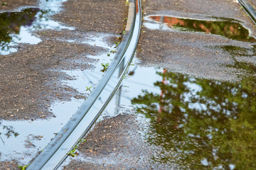 Tram rail in water puddle.