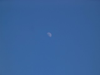 moon in the sky