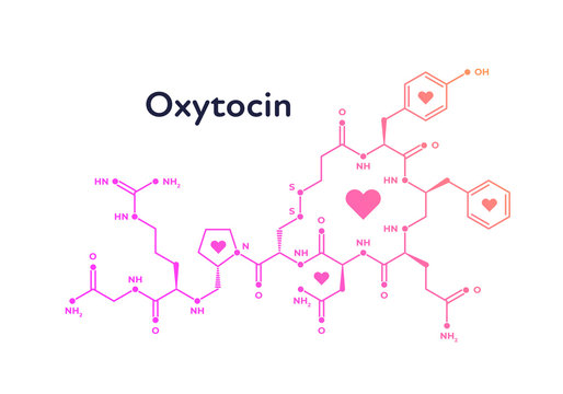 Vector hormones banner template. Oxytocin structure of pink color with heart symbol isolated on white background. Hormone assosiated with bond, care, love. Design for poster, education, presentation