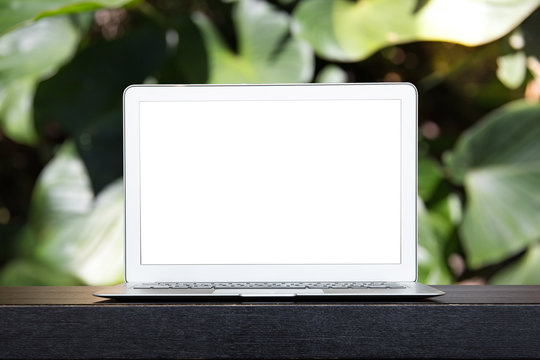 Isolated mockup image of laptop with blur on green plam leaves or tree in tropical forest with bokeh light at background