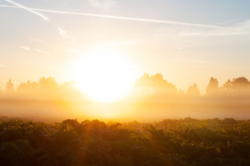 sunset in the mountains