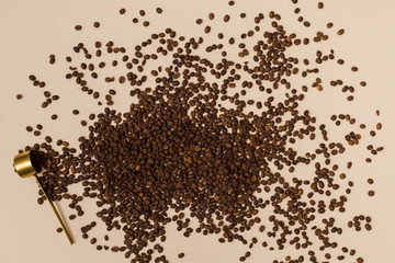 Fototapeta premium Coffee beans and a spoon