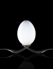 egg on black background