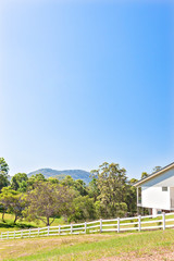 Fototapeta premium Clear blue sky and natural jungle with house.