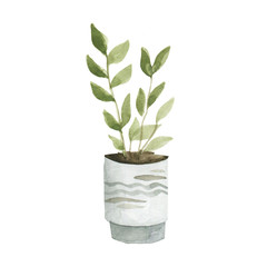 Watercolor isolated plant in a pot. Pot in ethnic style and trendy tiger stripes.