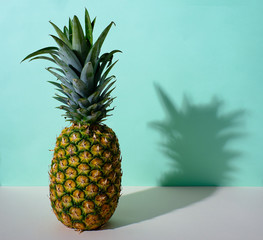 a single pineapple with a single pastel green background