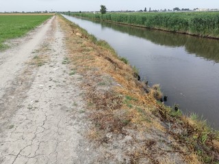 canale nel verde della campagna