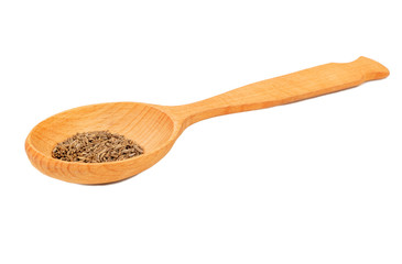 Dry cumin in spoon