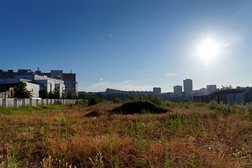nature in industrial wasteland of  Paris suburb