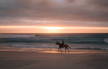 Fototapeta na wymiar Woman horse riding along the sea shore