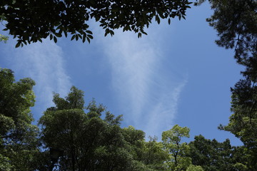 公園の空