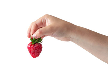 Large strawberry in hand