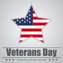 Star with USA flag inside for Veterans Day. Vector illustration