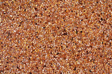 background of sand with shells