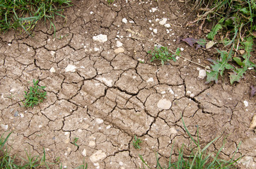 Trockener Boden am Rande eines Feldes im Mittelgirge