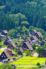 世界文化遺産、初秋の白川郷合掌造り集落。岐阜　日本。８月下旬。