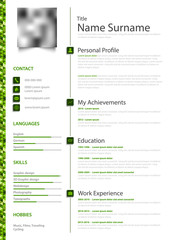 Professional personal resume cv in green white simple design