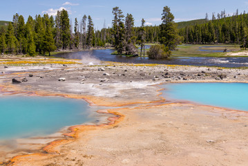 Yellowstone National Park Landscape 