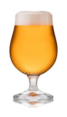 A refreshing glass of cider, in a schooner glass, with condensation
