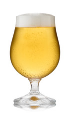 A refreshing glass of lager, in a schooner glass, with condensation