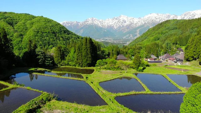 北アルプスと水田　青鬼集落（ドローン空撮）