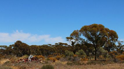 Scrap metal dumped in the beautiful environment besides Great Eastern Highway in Central Wheatbelt, Western Australia