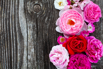 pink,red, violet and white roses on wooden surface