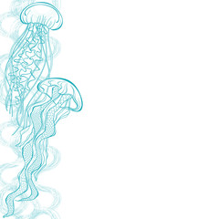 Fototapeta na wymiar Sea background with jellyfish and place for text on white. Vector. Invitation, greeting card or an element for your design. Vertical composition.