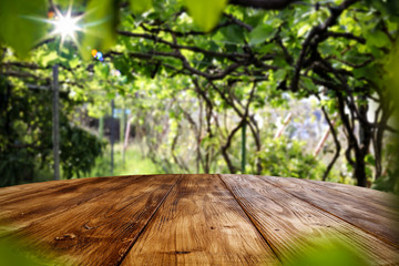 Fototapeta na wymiar Wooden table of free space and summer background 