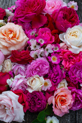 pink,red, violet and white roses background