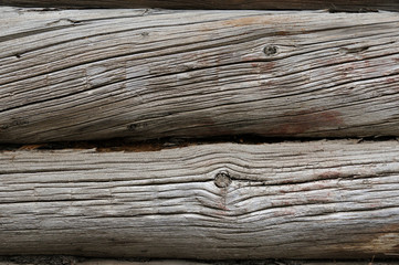 Wooden oak texture close-up photo, Old tree texture, Dry skin crack, burl