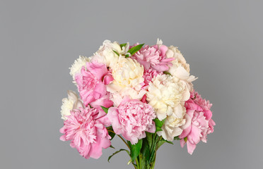 Beautiful fresh peony flowers on grey background