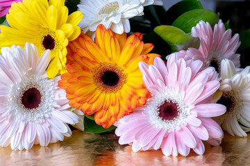 Kwiaty gerbery w różnych kolorach na błyszczącym blacie - obrazy, fototapety, plakaty