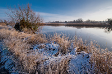 Lower Oder Valley National Park in winter